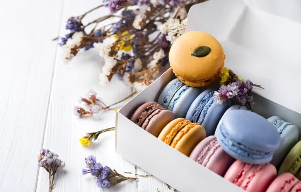 Flowers, colorful, cake, flowers, sweet, dessert, cookies, french