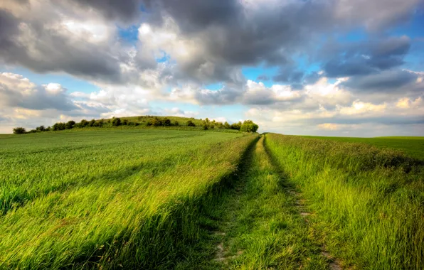 Road, greens, field, summer, the sky, the sun, clouds, joy