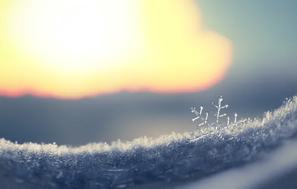 Winter, snow, rendering, art, snowflake, Snowflake, Fernando Antiqueira