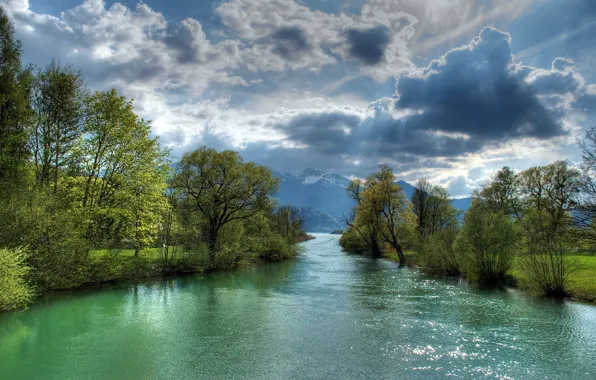 Forest, rays, river