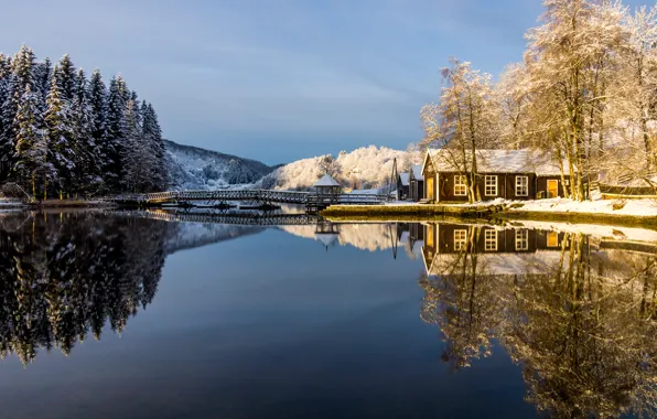 Picture winter, frost, forest, the sky, snow, trees, lake, house