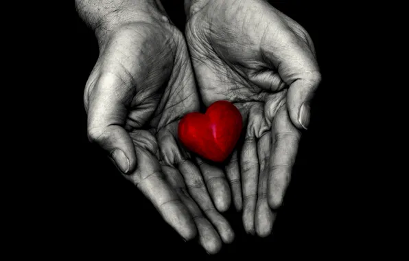 HANDS, HEART, PALM
