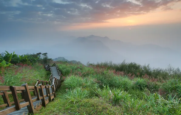 Grass, mountains, fog, dawn, ladder