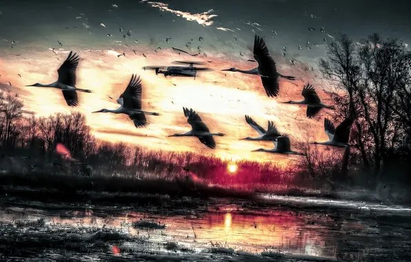 River, War, Flight, Dawn, Russia, Art, Ukraine, Intelligence