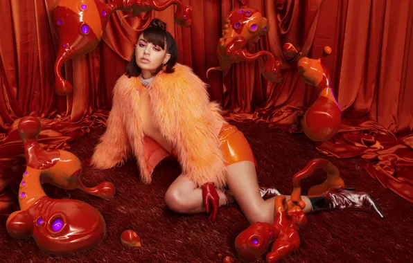 Picture girl, style, Charli XCX