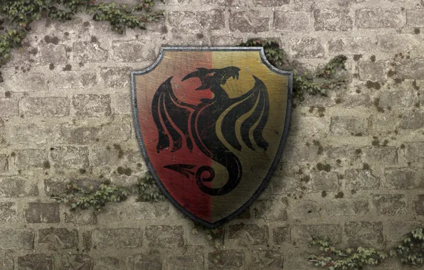Wall, dragon, coat of arms