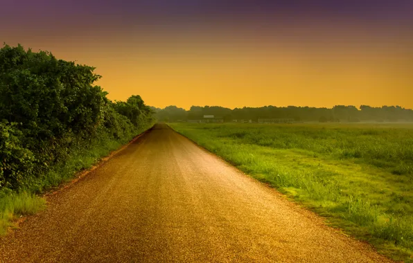 Road, greens, the sky, grass, leaves, trees, landscape, nature