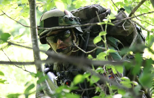 Picture forest, weapons, soldiers