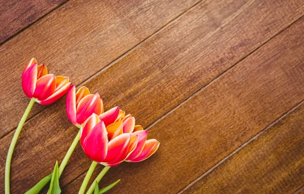 Flowers, tulips, red, red, wood, flowers, tulips, spring