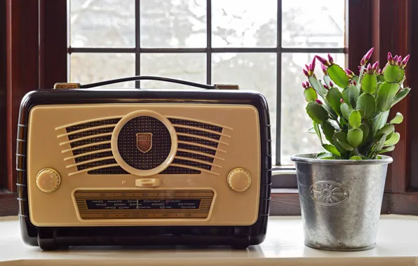 Picture radio, 1957, receiver, Ultra