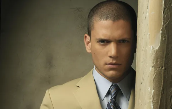 Picture look, actor, male, Wentworth Miller