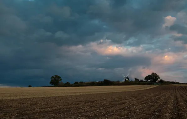 Picture field, trees, clouds, the evening, cleaning, mill