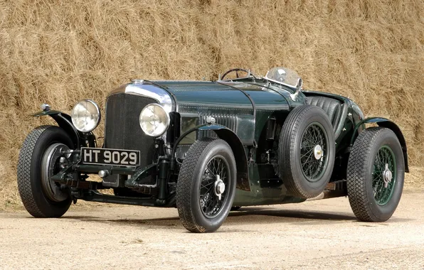 Picture sport, Roadster, 1924год