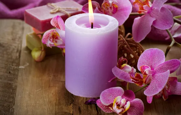 Flowers, candle, Orchid, flowers, Orchid, candle