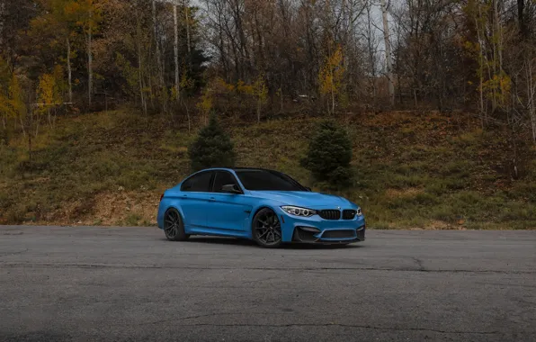 Picture BMW, Blue, F80, M3