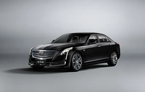 Picture white, background, Cadillac, sedan, Cadillac, CT6