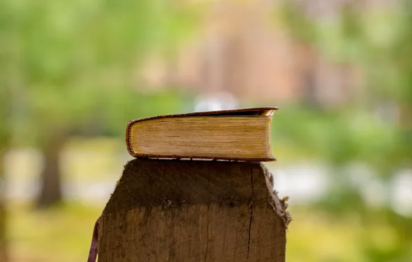 Love, Christian, God, Book, Bible, Jesus, Holy Bible, Emmanuel Phaeton