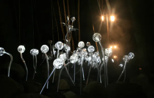 Lamp, dandelions, landscape design