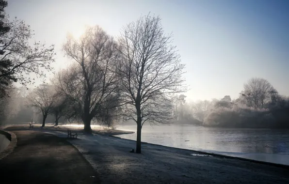 Fog, Park, river, morning, bench
