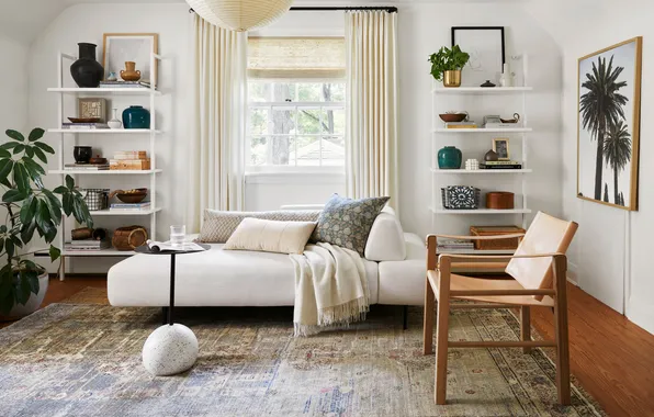 Design, room, interior, plants, picture, chair, sofa, living room