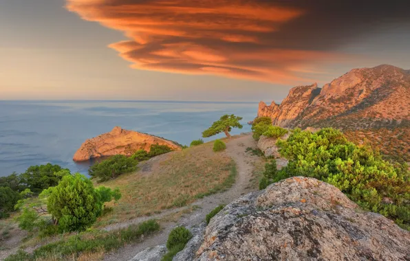 Picture sea, landscape, sunset, nature, stones, rocks, shore, vegetation