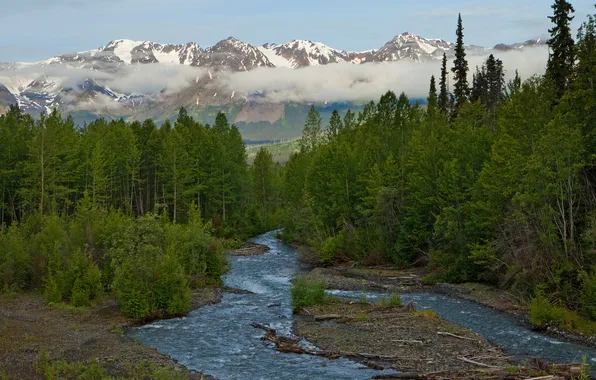 Forest, trees, mountains, river, Alaska