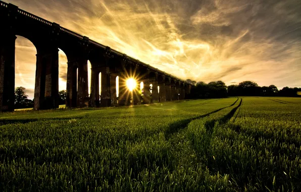 Field, the sky, the sun, nature, construction, viaduct