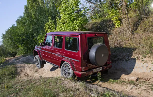 Trees, Mercedes-Benz, SUV, G500, G-Class, 2015, G 500, V8 Biturbo