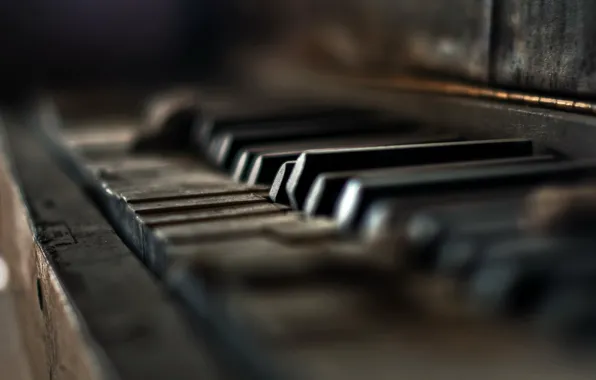 Picture macro, music, piano