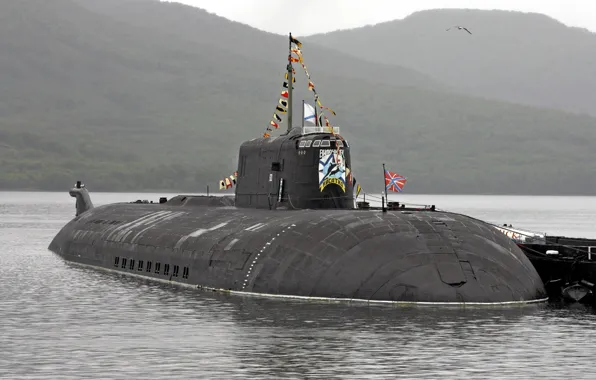 Russia, submarine, "Vilyuchinsk", "The whale"