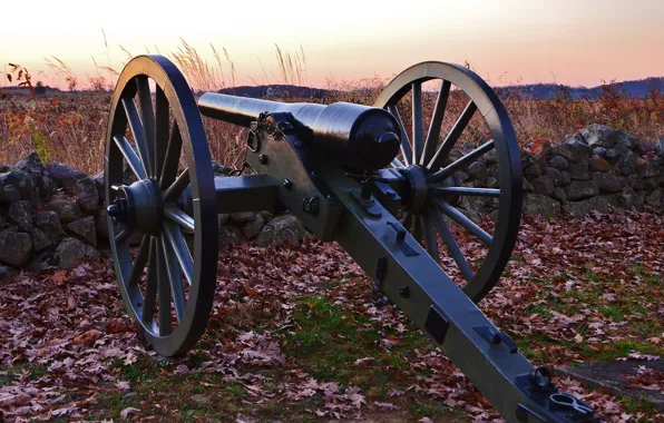 Picture grass, leaves, stones, weapons, gun