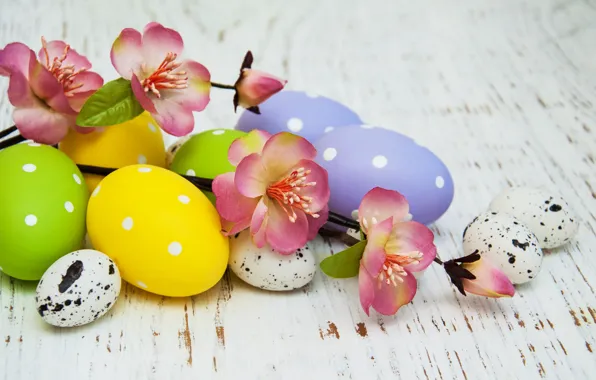 Flowers, eggs, spring, colorful, Easter, happy, wood, pink