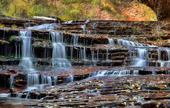 Leaves, stream, rocks, waterfall, Zion National Park, USA, Utah