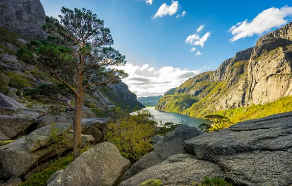 Trees, landscape, mountains, lake, rocks, the fjord