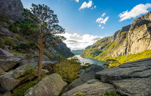 Landscape, mountains, lake, tree, rocks, the fjord