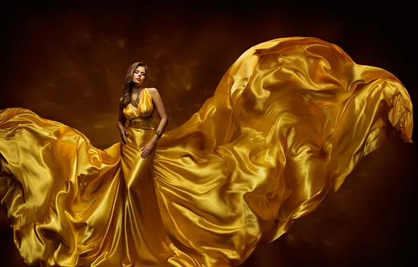 Decoration, background, model, figure, dress, hairstyle, brown hair, gold