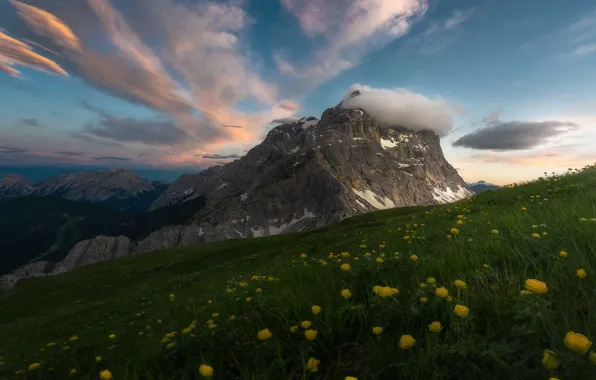 Field, summer, the sky, grass, clouds, snow, flowers, mountains