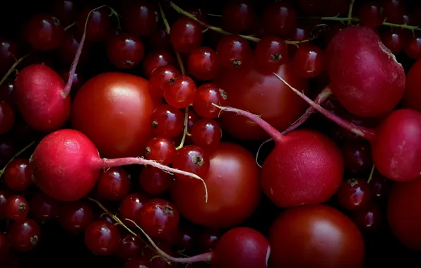 Picture berries, vegetables, currants, ridiska