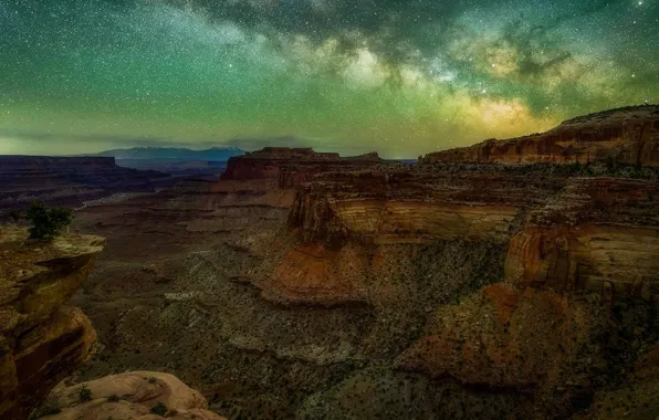 Stars, canyon, Utah, USA, The Milky Way, Canyonlands national Park