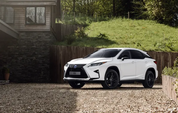 2018, Sport, crossover, 450h, Lexus RX