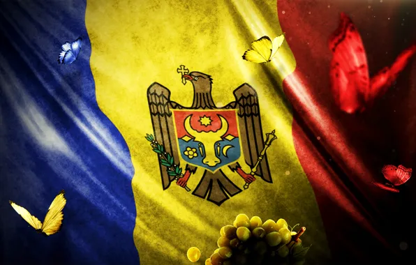 Picture red, design, yellow, blue, flag, moldova, mocanu, marin