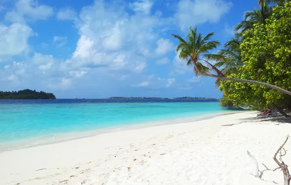 Picture tropics, beauty, vacation, The Maldives, island