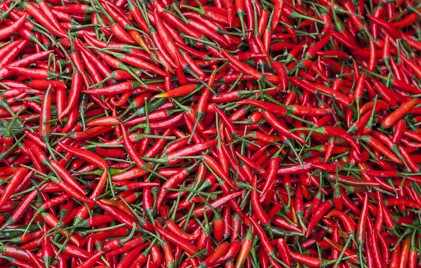 Picture pepper, food, background