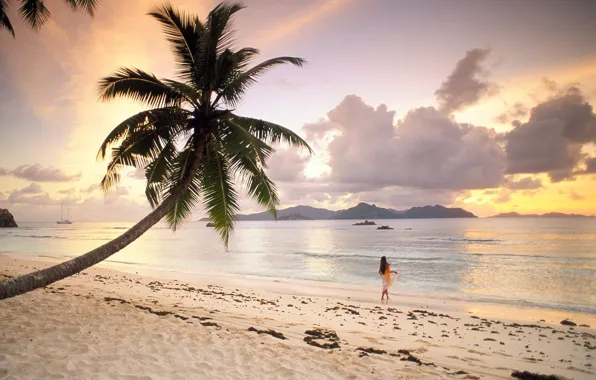 Beach, Palma, Seychelles