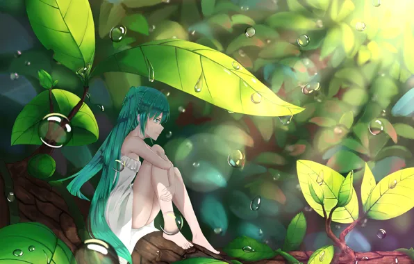 Leaves, girl, anime, art, hatsune miku, Vocaloid, Vocaloid