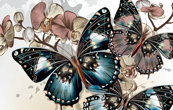 Picture color, butterfly, background, wings, vector, color