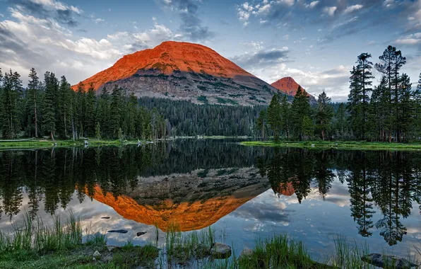 Forest, lake, mountain, Utah, Mirror Lake, Bald Mountain