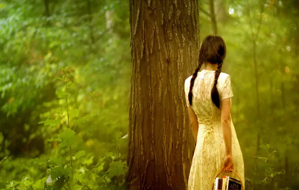 FOREST, NATURE, TREE, FOCUS, TRUNK, GREENS, LEAVES, DRESS