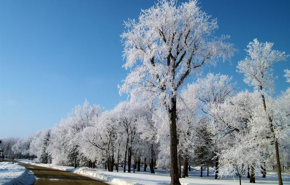 Winter, road, the sky, snow, trees