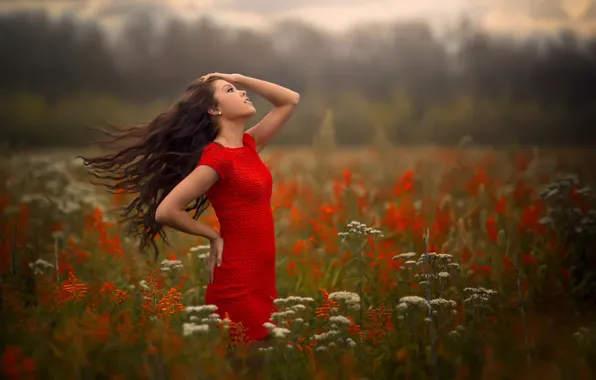 Picture field, girl, the wind, breeze, in red